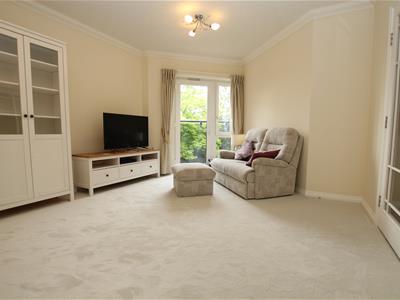 Picture 5